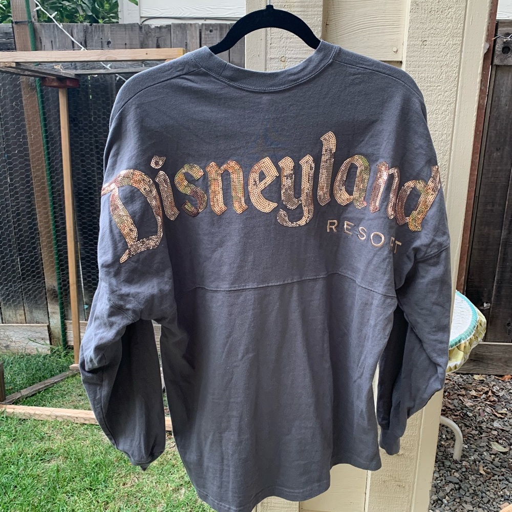 Disneyland Briar Rose spirit jersey